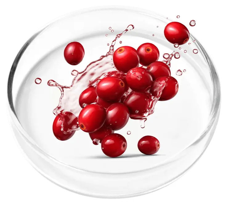 Heritage Cranberry Extract